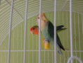 /album/fotogaleria/a2010-7-8-twt13l-jpg/